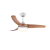 421 C