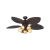 429 C