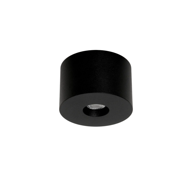 WILLY NEGRO 10W