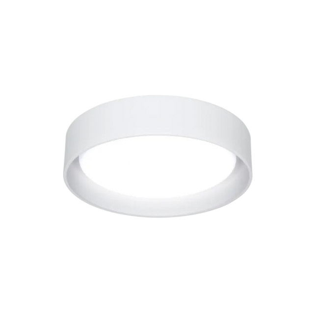 XAPO BLANCO